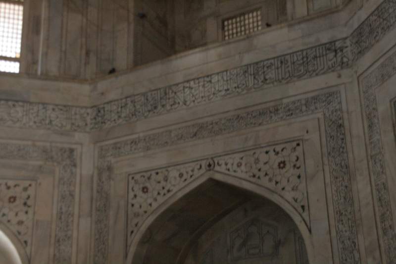 India & Nepal 2011 - 1185